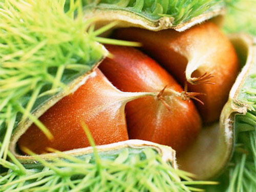 20160413170848_1952882310.jpg 20160413170848_1952882310.jpg